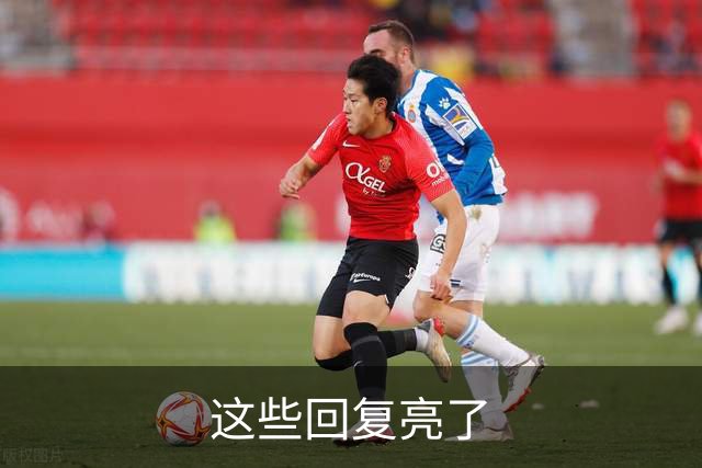 这些回复亮了