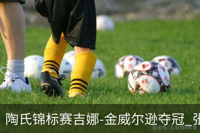 陶氏锦标赛吉娜-金/威尔逊夺冠 张维维/张雅惠T12