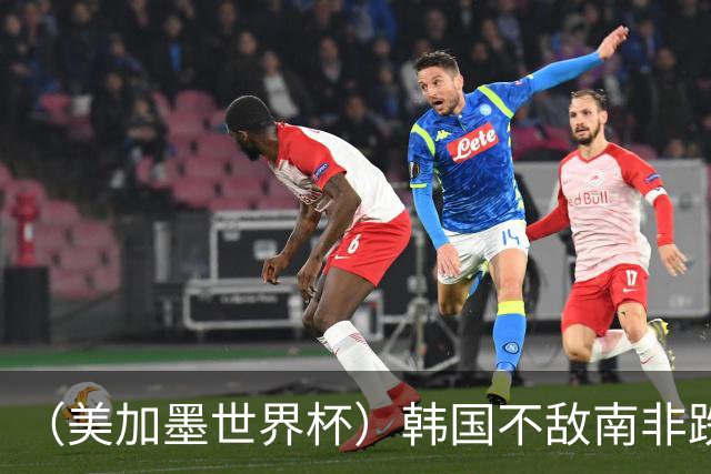 （美加墨世界杯）韩国不敌南非跌至小组第三 出线前景待定
